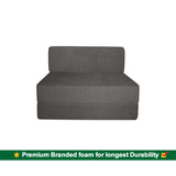 Dolphin Zeal 1 Seater Sofa Bed-Grey- 2.5ft x 6ft with Free micro fiber Designer cushions