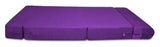 Dolphin Zeal 1 Seater Sofa Bed-Purple- 2.5ft x 6ft with Free micro fiber Designer cushions