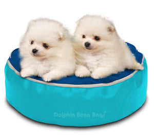Dolphin Pets Bean Bag Turquoise/R.Blue-Filled (With Beans)